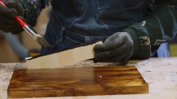 Il primo piano di mani femminili sta applicando di vernice protettiva su asse di legno . — Video Stock