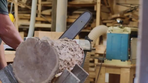 Ο άνθρωπος πριονίζει ένα ξύλο με ηλεκτρικό αλυσοπρίονο στην ξυλουργική. — Αρχείο Βίντεο
