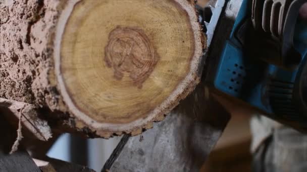 Homem está serrando uma madeira com uma motosserra elétrica na carpintaria — Vídeo de Stock