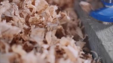 forstner matkap kurulu bir delik yapar