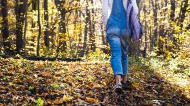 Sırt çantalı genç bir kadın, sarı sonbahar ormanlarında tek başına yürüyor..