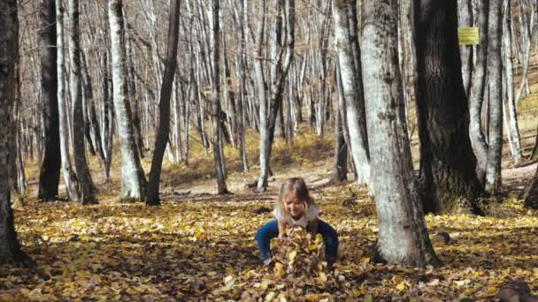 Gadis bahagia bersenang-senang dan melemparkan daun kuning di hutan musim gugur — Stok Video