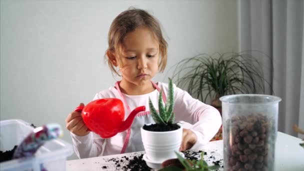 Klein kind meisje is het drenken van een kamerplant na herbeplanting thuis, indoor — Stockvideo