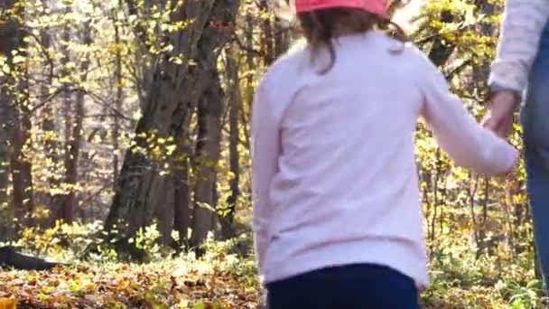Joven madre con hija pequeña está caminando en el bosque amarillo de otoño, vista trasera . — Vídeos de Stock