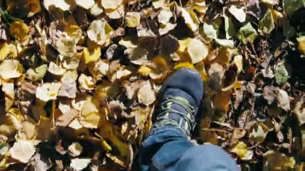 色落ちした葉に足を踏み入れる視点 — ストック動画