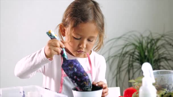 Kleines Mädchen pflanzt eine Blume zu Hause, drinnen — Stockvideo