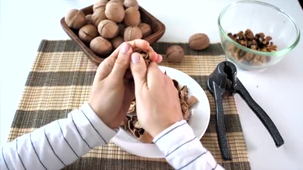 Pov Manos Femeninas Está Agrietando Unas Nueces Casa Ella Recoge — Vídeo de stock