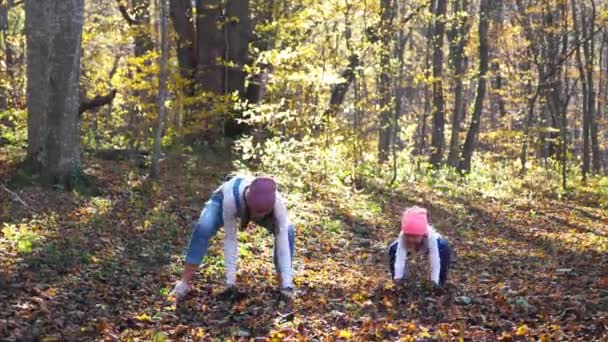 Mujer joven feliz divirtiéndose y lanzando hojas amarillas en el bosque de otoño — Vídeos de Stock