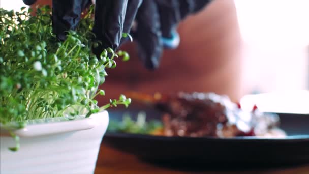 Şef restoranda kızarmış ördeğin üzerine mikroyeşil ekliyor. — Stok video