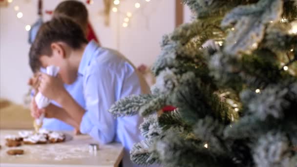 Familjen inreder en julkaka med bakelse väska hemma kök. — Stockvideo