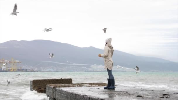 Young woman is feeding a seagulls. Seashore in storm windy weather — Stockvideo