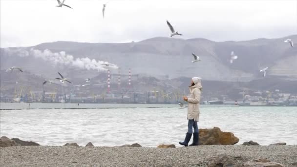 Young woman is feeding a seagulls. Seashore in storm windy weather — Stok video