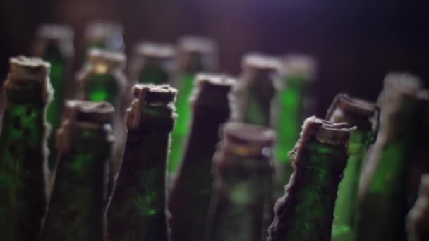 Apiladas de viejas botellas de vino en la bodega — Vídeo de stock