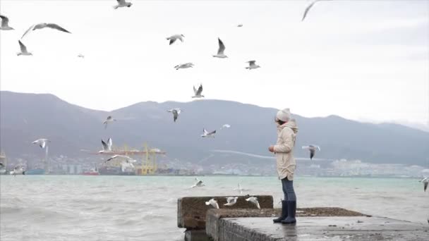 Young woman is feeding a seagulls. Seashore in storm windy weather — Stock Video