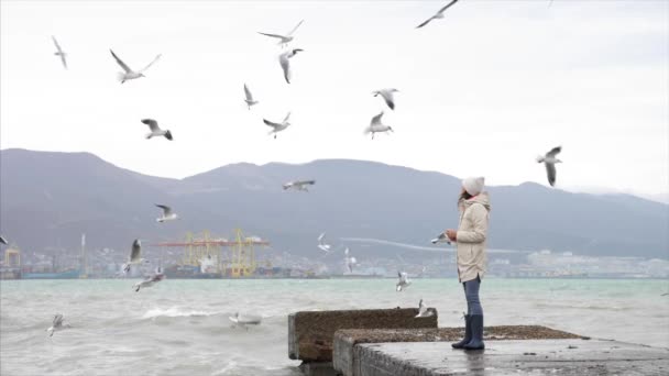 Mladá žena krmí racky. Moře za bouřlivého větrného počasí — Stock video