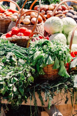 Gerçek sebze ve otlar sepetle. Lahana, domates, havuç, soğan hasat sonra