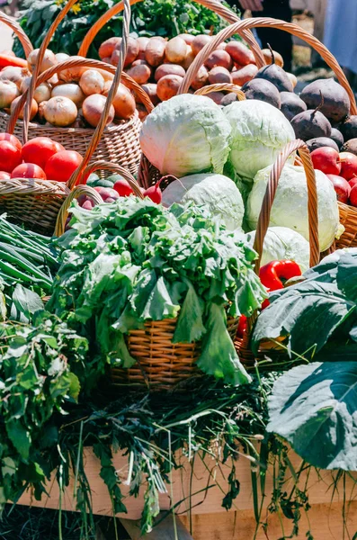 Gerçek sebze ve otlar sepetle. Lahana, domates, havuç, soğan hasat sonra