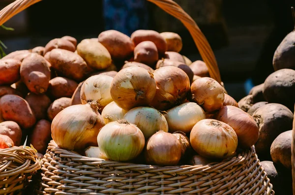 Gerçek sebze ve otlar sepetle. Lahana, domates, havuç, soğan hasat sonra