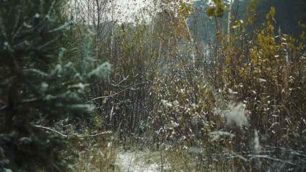 Primera nevada de otoño . — Vídeos de Stock