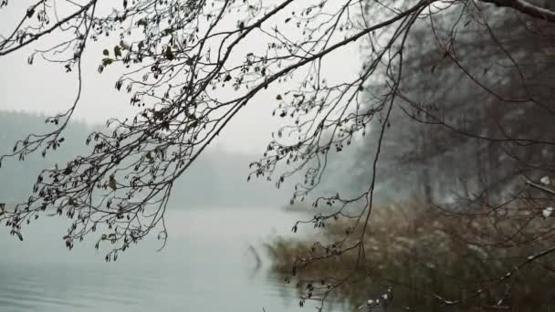 Höstens första snöfall. — Stockvideo