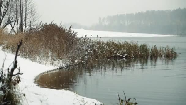 Erster Herbst-Schneefall. — Stockvideo