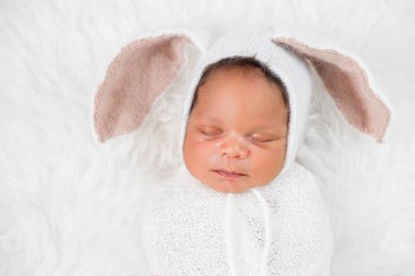 Yeni doğan yeni yıl Bunny