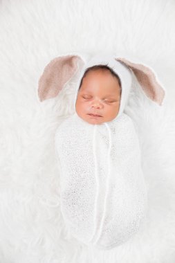 Yeni doğan yeni yıl Bunny