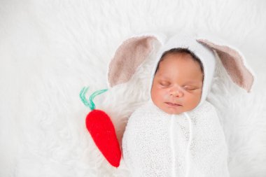 Yeni doğan yeni yıl Bunny