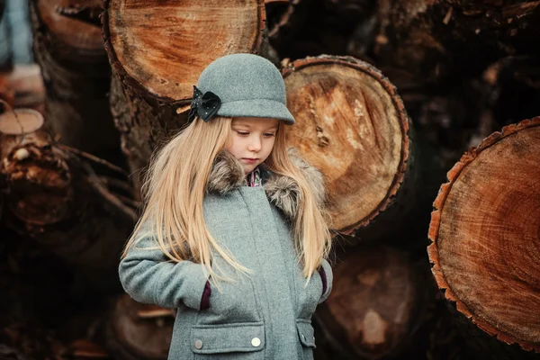 Schattig klein meisje in de herfst bos — Stockfoto