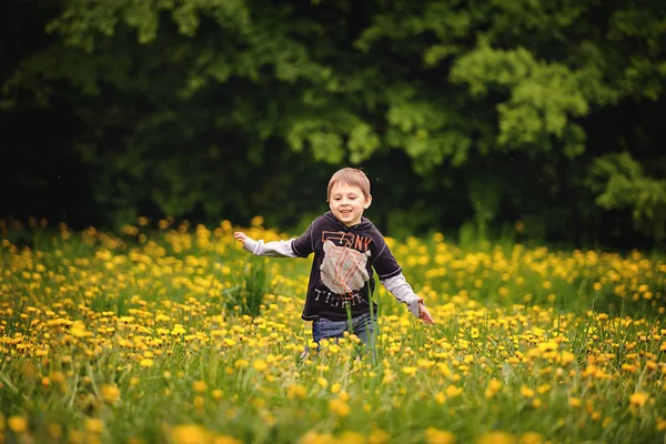 Kleine jongen in veld — Stockfoto
