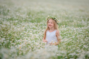 girl in flower wreath in the daisies field clipart