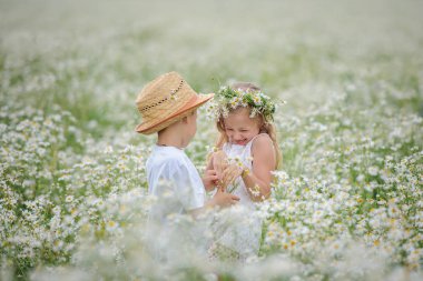 kız ve erkek papatyalar alanındaki