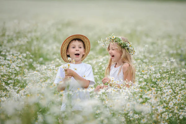 Niña y niño en el campo de margaritas —  Fotos de Stock