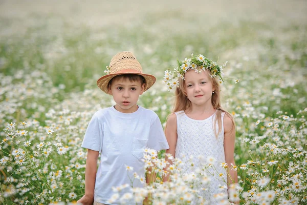 Ragazza e ragazzo nel campo margherite — Foto Stock