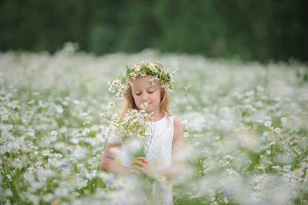 Dziewczyna w Wieniec kwiatów w polu stokrotki — Zdjęcie stockowe