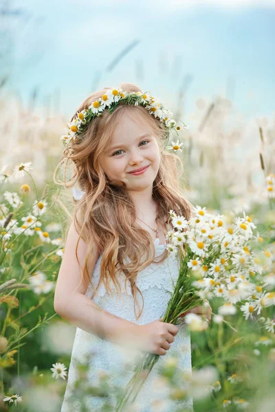 Little girl in chamomile field — Stock Photo, Image