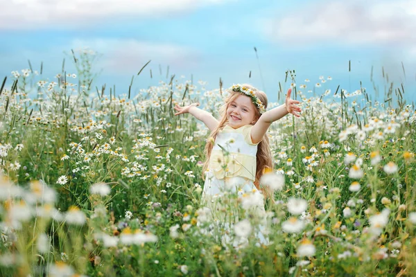 Little girl in chamomile field — Stock Photo, Image