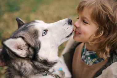 Kıvırcık saçlı küçük çocuk Sibirya köpeğine sarılıyor.