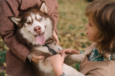 Kıvırcık saçlı küçük çocuk Sibirya köpeğine sarılıyor.