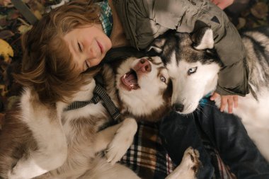 Kıvırcık saçlı küçük çocuk Sibirya köpeğine sarılıyor.