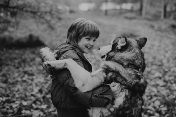 Monochrome Schot Van Kleine Jongen Met Krullend Haar Knuffelen Siberische — Stockfoto