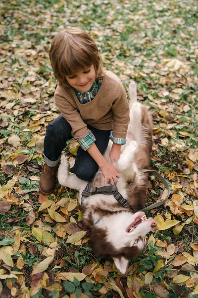 Malý Chlapec Kudrnaté Vlasy Objímání Sibiřský Husky Pes — Stock fotografie