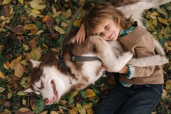 Malý Chlapec Kudrnaté Vlasy Objímání Sibiřský Husky Pes — Stock fotografie