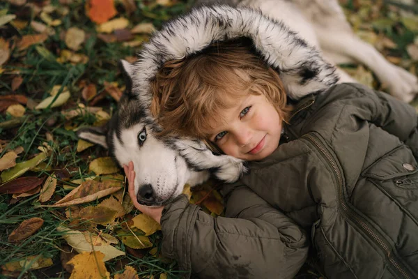 Malý Chlapec Kudrnaté Vlasy Objímání Sibiřský Husky Pes — Stock fotografie