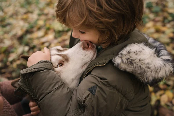 Little Boy Curly Hair Hugging Siberian Husky Dog — Stock Photo, Image