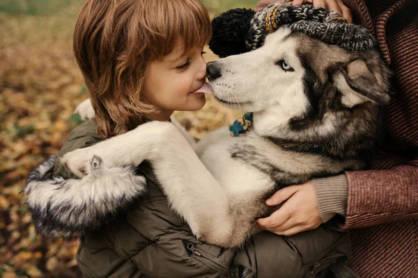 Μικρό Αγόρι Σγουρά Μαλλιά Αγκαλιάζει Σιβηρικό Κοπρόσκυλο — Φωτογραφία Αρχείου