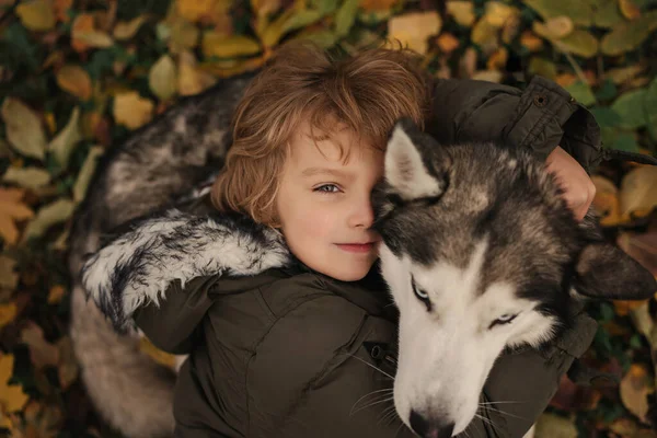 Kleine Jongen Met Krullend Haar Knuffelen Siberische Husky Hond — Stockfoto