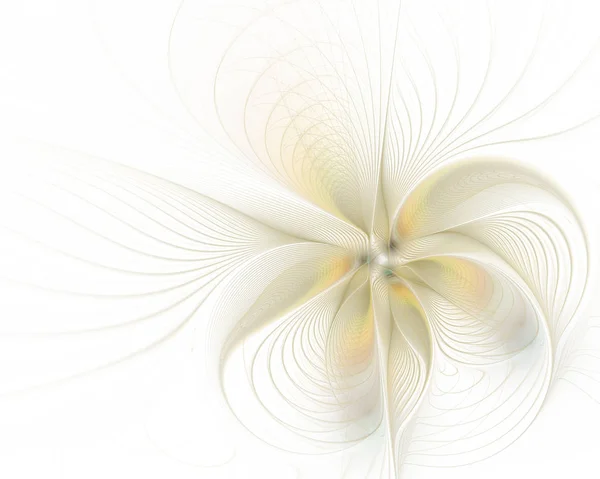 Абстрактный нежный цветок на белом фоне — стоковое фото