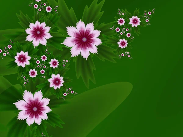 Abstract fractal flowers on a green background — Stock Photo, Image