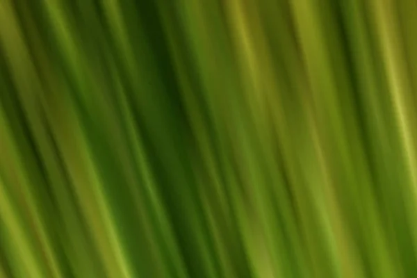 落ち着いた緑色で抽象的なフラクタル背景 — ストック写真